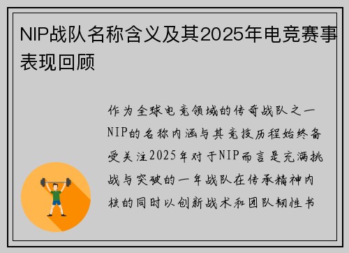 NIP战队名称含义及其2025年电竞赛事表现回顾